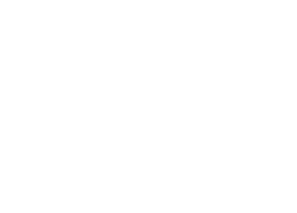 Logo Birds